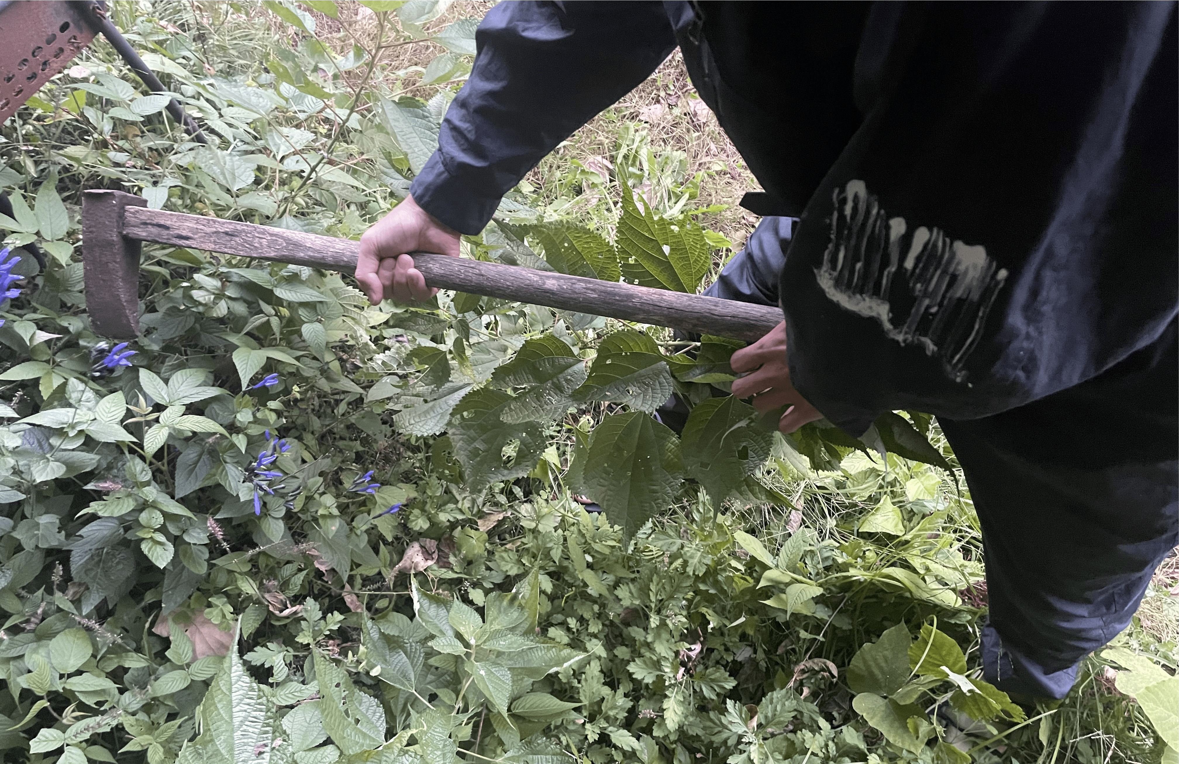 WELLDERジャンプスーツ