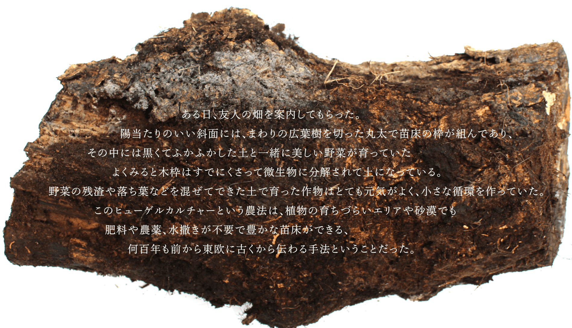 ある日、友人の畑を案内してもらった。